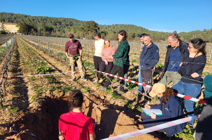 La correction nécessaire des sols viticoles en manque de matières organiques