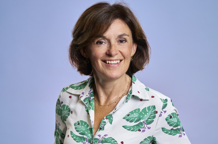 Le négoce agacé par l'arrachage viticole 2026 : 