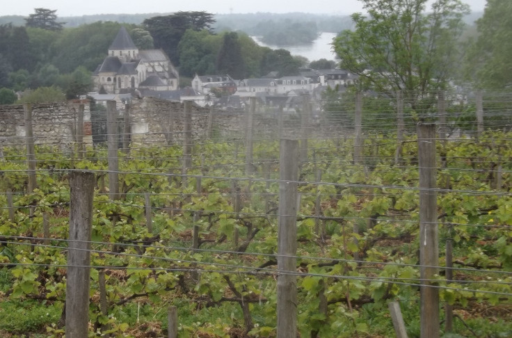 Chenonceaux and Amboise wines seek to break free from AOC Touraine