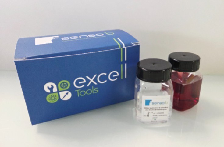 Un nouveau test rapide pour le dépistage de Brettanomyces dans les vins