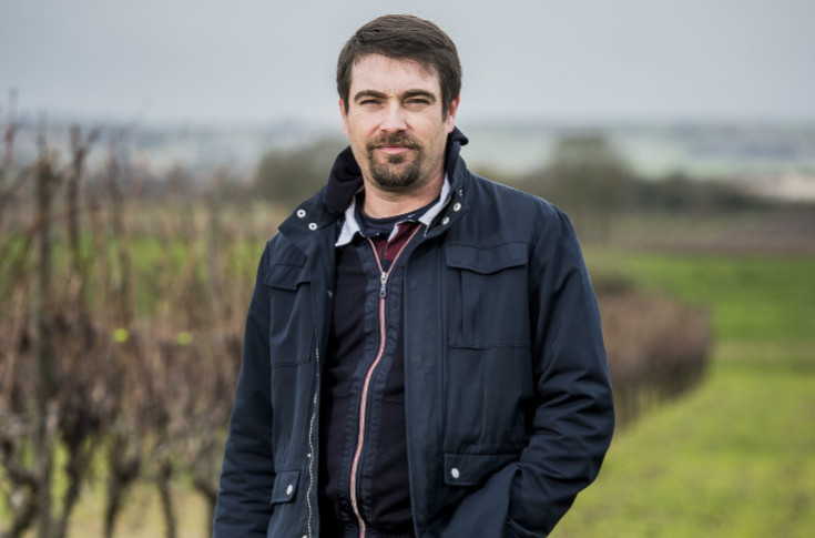 10 000 ha de vignes à arracher à 6 000 €/ha : le vignoble appelle le négoce à partager la facture de Cognac