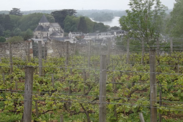 Les vins de Chenonceaux et Amboise veulent s'émanciper de l'AOC Touraine
