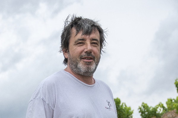 Fin annoncée d'une cave coopérative actant sa cessation de paiements : 