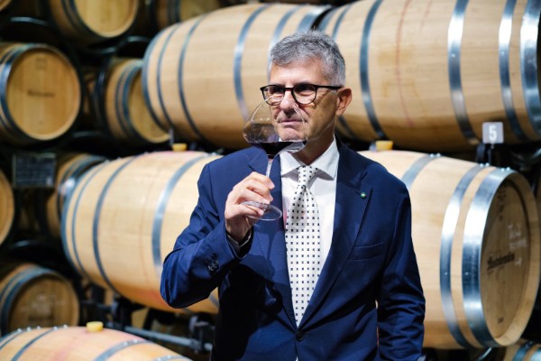 Pourquoi on ne veut pas arracher de vignes en Italie : 'ce n’est qu’après avoir pleinement activé les leviers de stimulation de la demande que des ajustements complémentaires de l’offre peuvent être envisagés'