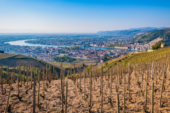Des manifestants culs nus chez le négociant Michel Chapoutier