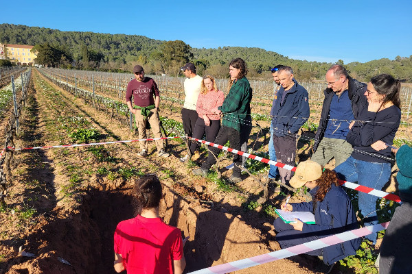 La correction nécessaire des sols viticoles en manque de matières organiques