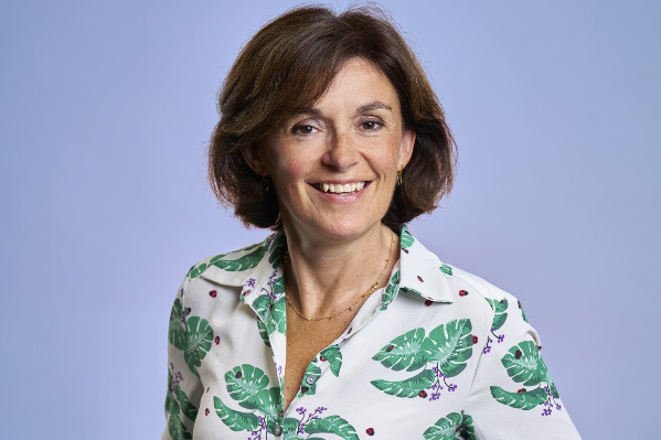 Le négoce agacé par l'arrachage viticole 2026 : 'on arrose le sable, sans concertation avec l’aval de la filière'