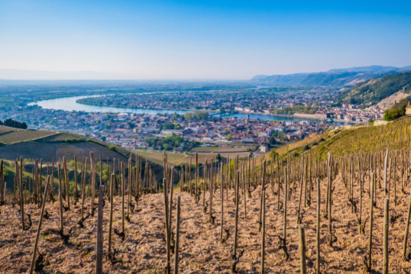 Demonstrators do a moony in front of Michel Chapoutier’s head office