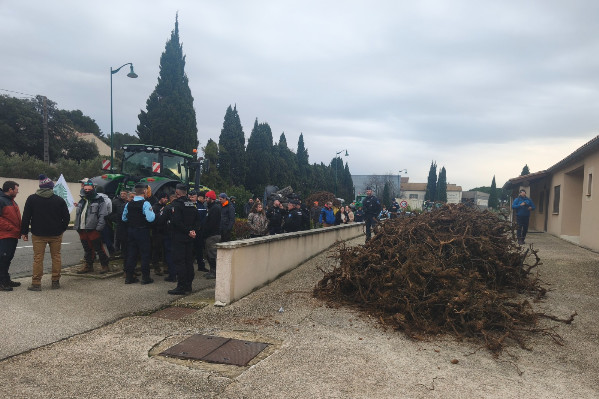 'Baisser le prix du vin est indécent, on vend déjà à perte' : les vignerons invitent négoce et GD à partager la valeur avant qu’il ne soit trop tard