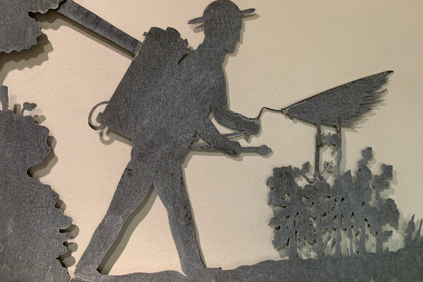 Le vignoble uni comme jamais pour sauver le cuivre, 'la base de la totalité des calendriers de traitements de nos vignobles'