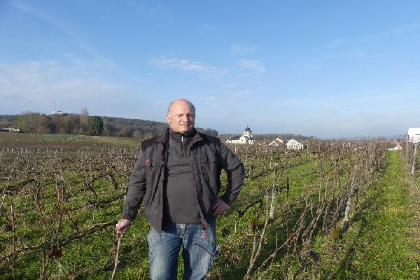 Deux vignerons séduits par un biochélate pour lutter contre la chlorose dans leurs vignes