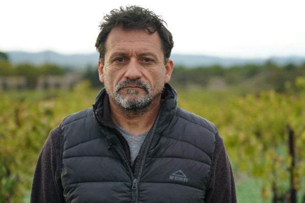 L’arrachage n’est pas que le problème des vignerons, c’est la ruine de la région