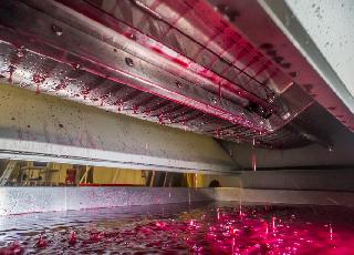 'Une épice apportant structure et complexité sans astringence' Pourquoi les vignerons soignent leurs vins de presse