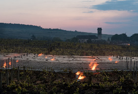 La lutte vigneronne contre le gel passée au crible environnemental