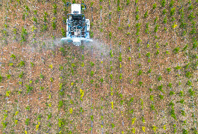 L'assurance récolte sur la réduction des phytos marche : jusqu'à -50 % de fongicides