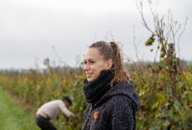 'Les viticulteurs se sont créé des obligations qui sont dépassées', dans les AOC, 'il faut ouvrir les vannes'