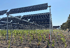 Jusqu’à 60 % d’économie d’eau en viticulture sans perte de rendement grâce à l’agrivoltaïsme dynamique