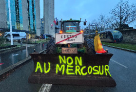 Les vins privés de Mercosur avec 'un retard de 18 à 20 mois' regrette le négoce : 'le temps, c'est de l'argent'