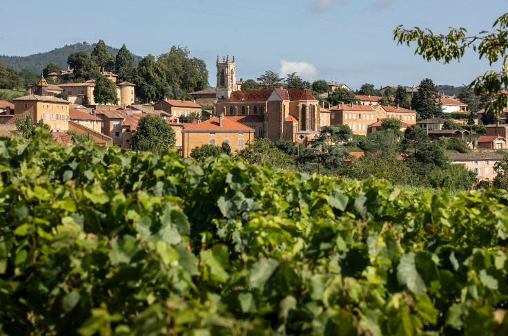 La montée en gamme et en grade mobilise et motive les vins du Beaujolais
