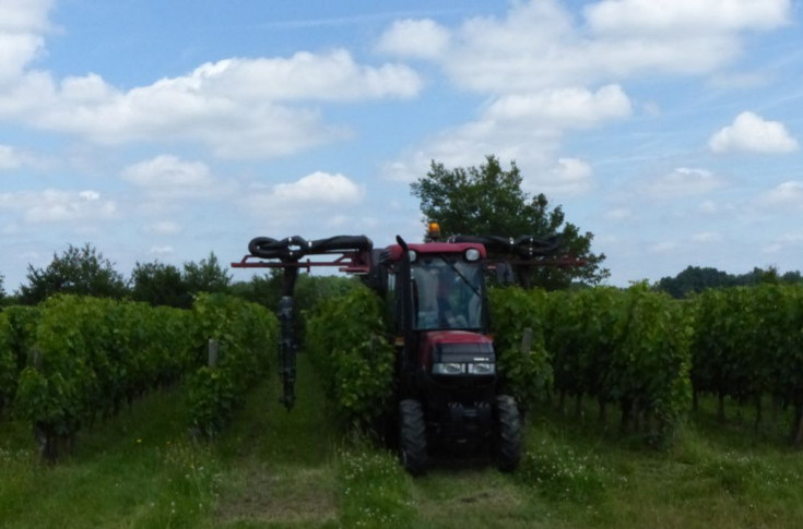 5 enjeux de la protection du vignoble en 2022