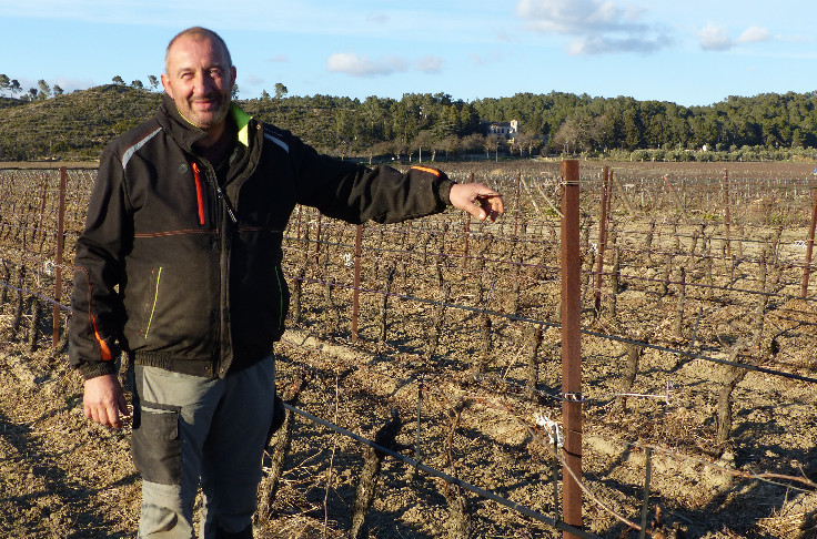 De premières vignes languedociennes protégées du gel par aspersion
