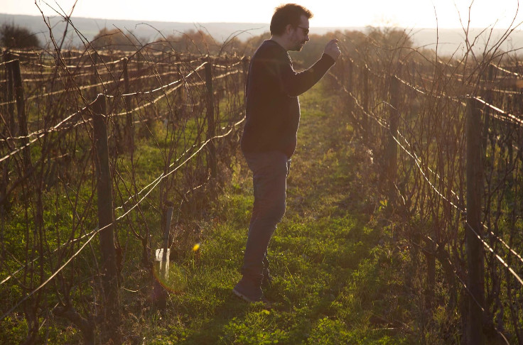Cri de rage d’un vigneron mis à mal par son assurance