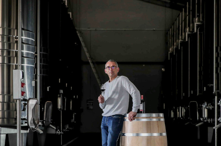 Bordeaux readies itself for the arrival of disease resistant grape varieties