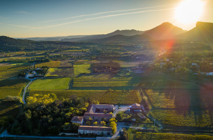 Emmanuel Clausel crée le domaine d’Uma en Pic Saint-Loup
