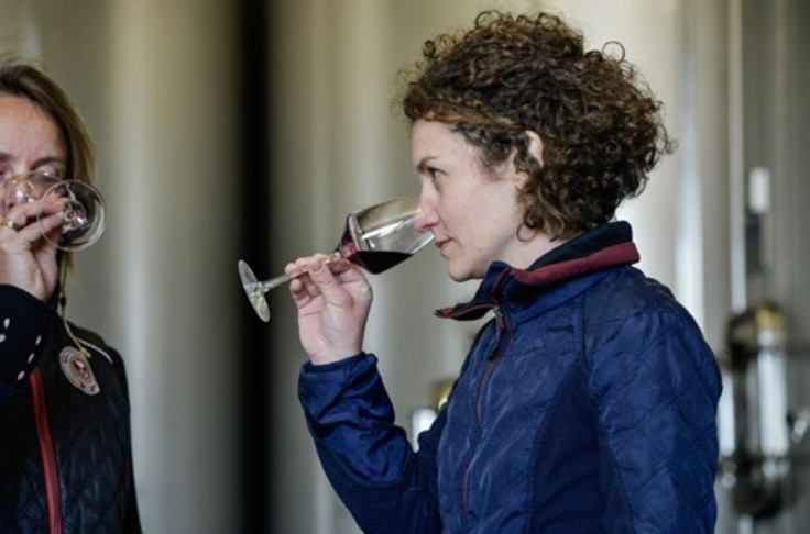 Les œnologues à l’assaut des vins primeurs de Bordeaux et du Sud-Ouest
