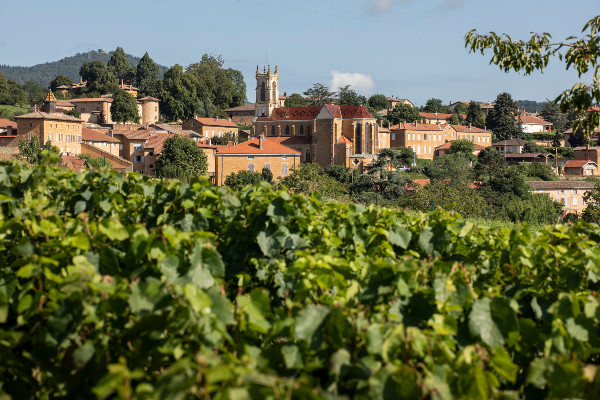La montée en gamme et en grade mobilise et motive les vins du Beaujolais