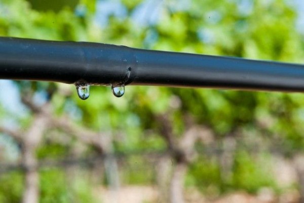 Une application smartphone pour piloter finement l’irrigation