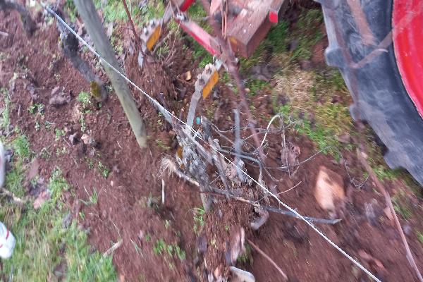  Deux viticulteurs inventent l'intercep Krab pour désherber sous les rangs de vigne