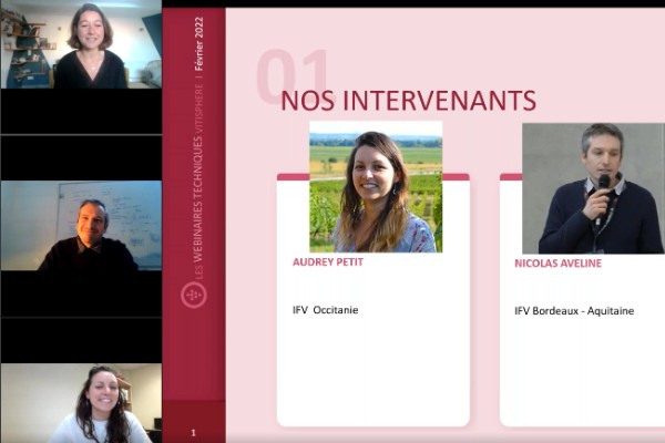 Où en sont les alternatives au cuivre au vignoble ?