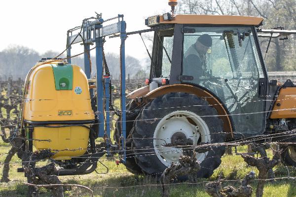  De moins en moins d'herbicides disponibles pour désherber les vignes