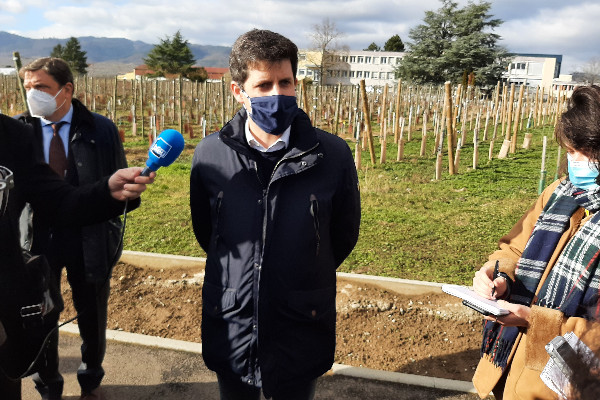 Une vingtaine de nouveaux cépages résistants d’ici 2028