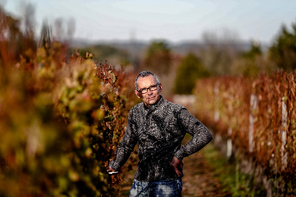 Les vins AOC Bordeaux préparent l'arrivée des cépages résistants