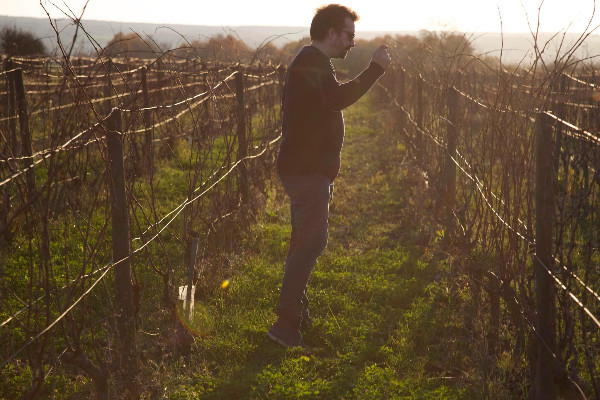 Cri de rage d’un vigneron mis à mal par son assurance