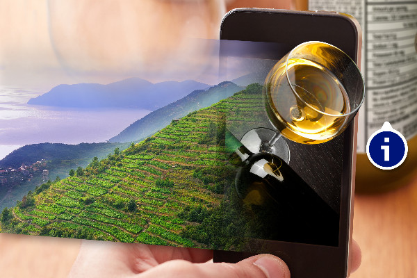Les étiquettes de vins en réalité augmentée, directement sans application
