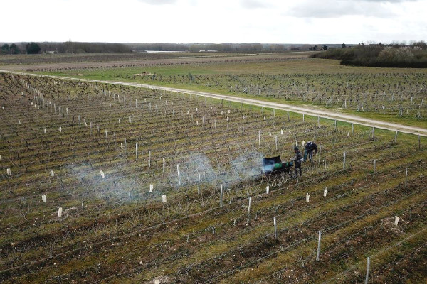  Bordeaux publie une charte de bonne conduite entre vignerons et prestaires