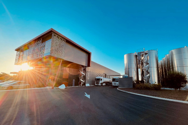 +350 000 hl, InVivo veut doubler son activité de vins en vrac en Languedoc