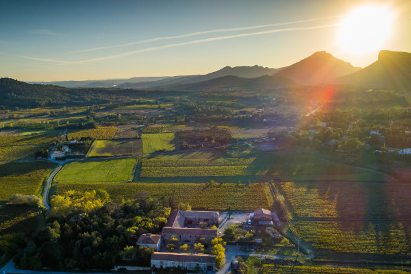 Emmanuel Clausel crée le domaine d’Uma en Pic Saint-Loup