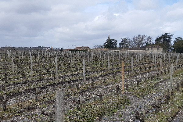 Générations Futures veut des ZNT de 100 mètres pour éviter la dérive phyto