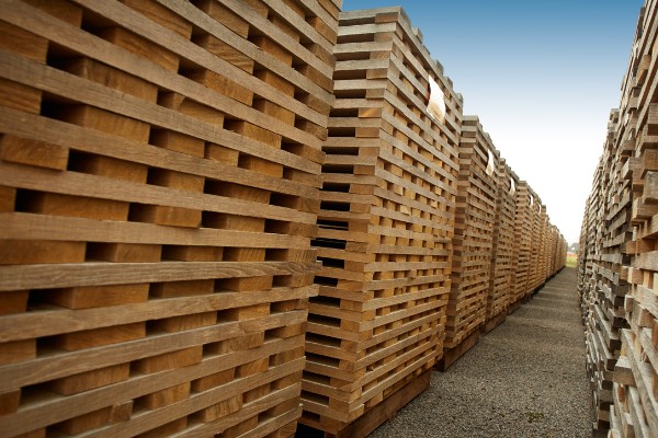 Vers une baisse des difficultés d'approvisionnement en chêne pour les tonneliers