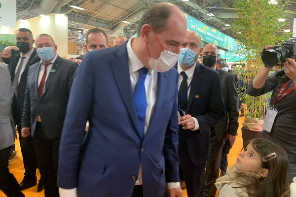 Le vignoble exempté des restrictions de traitements phytos de l’arrêté pollinisateur