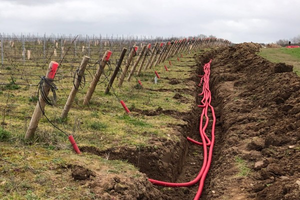 Les vignerons du Muscadet s'arment contre le gel