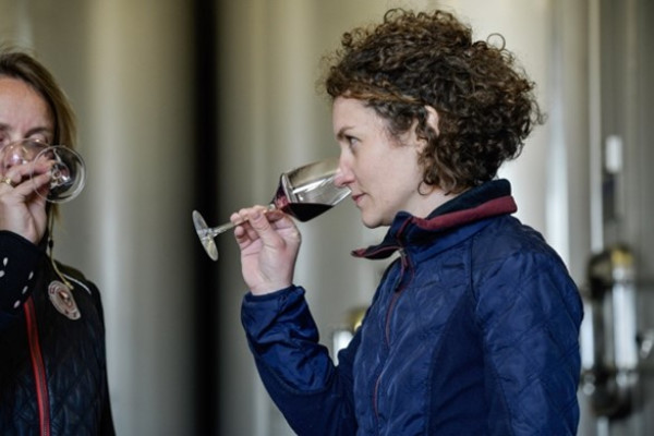 Les œnologues à l’assaut des vins primeurs de Bordeaux et du Sud-Ouest