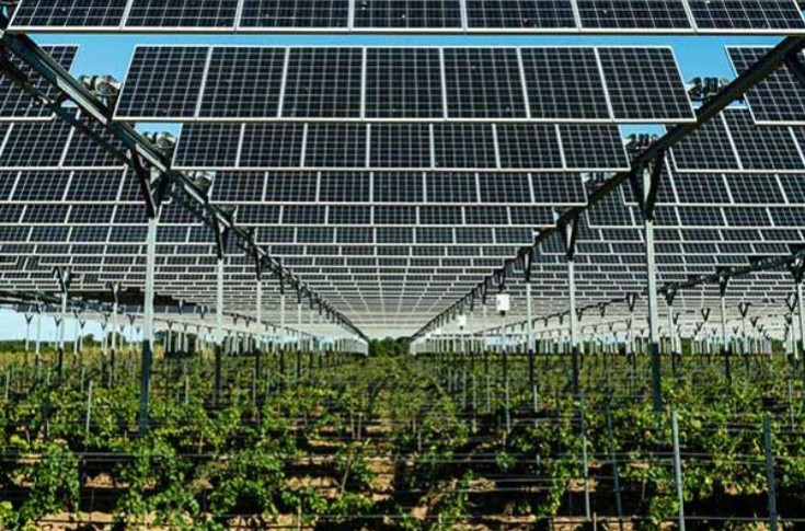 Les Jeunes Agriculteurs veulent sanctuariser le foncier agricole face au photovoltaïque