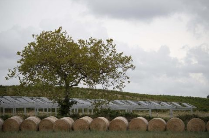 Réussites et déboires de l'agrivoltaïsme dans le vignoble