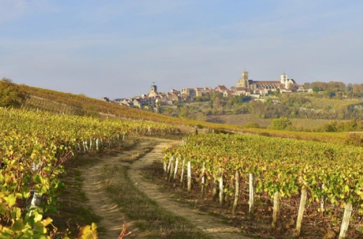 New possibilities for experimenting in French appellation vineyards and wineries New possibilities for experimenting in French appellation vineyards and wineries