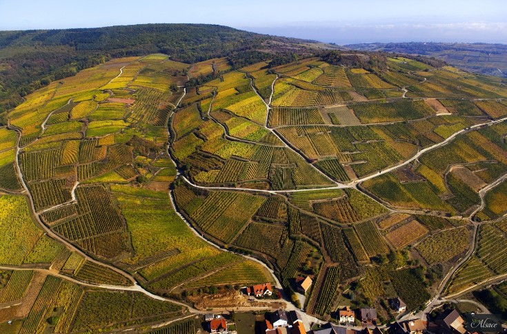 Les terroirs d’Alsace payent leur tournée d’avril à juillet